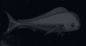 Sternbild Schwertfisch