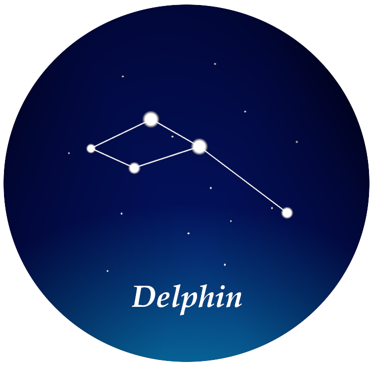 Sternbild Delphin