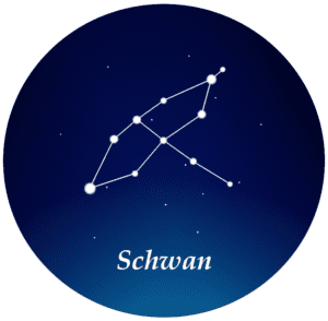 Sternbild Schwan