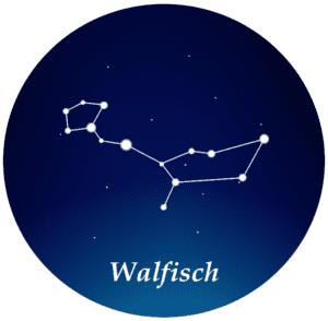 Sternbild Walfisch
