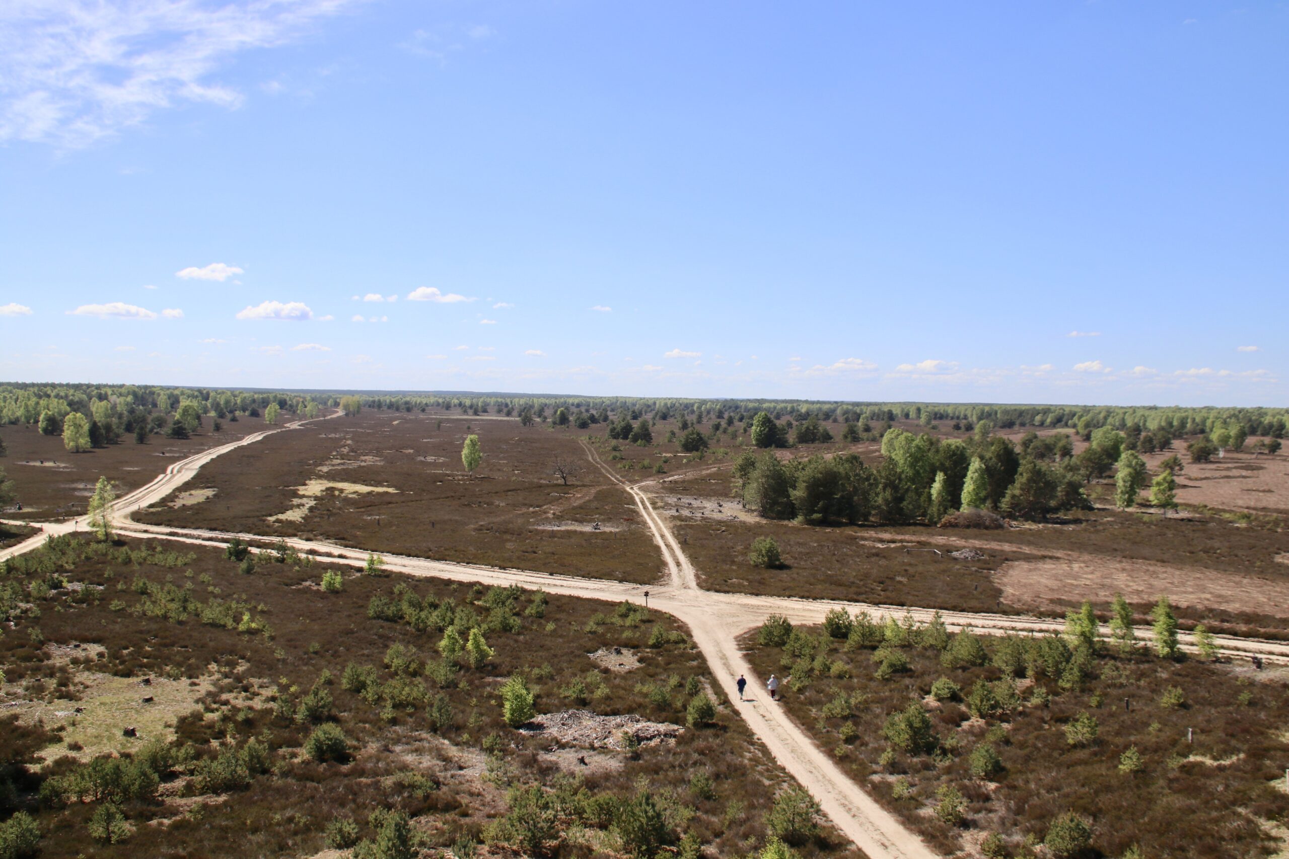 Aussichtsturm im Sternenpark Kyritz-Ruppiner Heide
